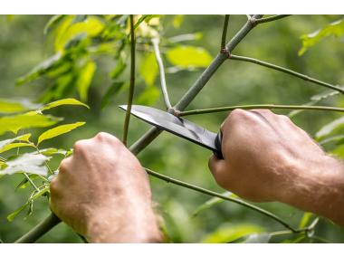 Zdjęcie: Nóż taktyczny full- tang 22 cm NEO