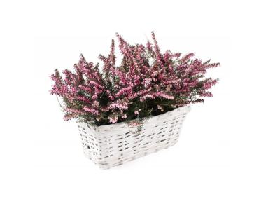 Zdjęcie: Osłonka wiklinowa z folią 27x14x11 cm biała prostokątna TIN TOURS