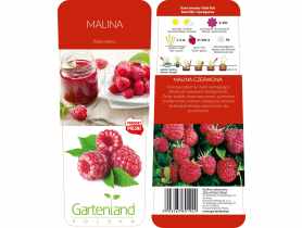 Malina czerwona GARTENLAND