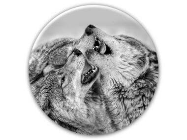 Zdjęcie: Obraz Glas Ringart. 70 cm Gr013 Wolves STYLER