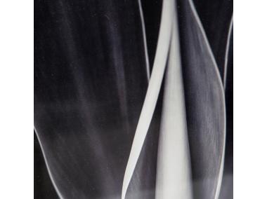 Zdjęcie: Obraz Nature 2, 50x70x3 cm EUROFIRANY