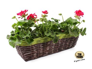 Zdjęcie: Kosz wiklinowy z folią do obsadzania kwiatami 50x20x15 cm TIN TOURS