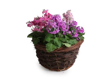 Zdjęcie: Osłona na doniczkę 27x17 cm TIN TOURS
