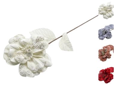 Zdjęcie: Magnolia pojedyncza TOP GIFTS