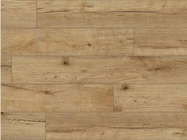 Zdjęcie: Expedition 4V WR Lugano Oak