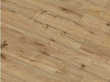 Zdjęcie: Expedition 4V WR Lugano Oak