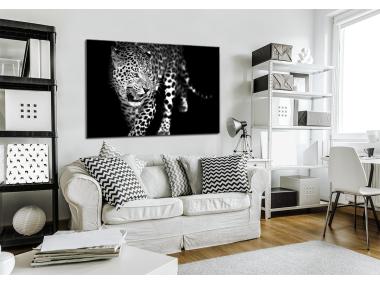 Zdjęcie: Obraz Glasspik Animals 70x100 cm Gl106 Leopard STYLER