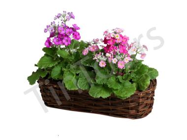 Zdjęcie: Balkonówka doniczka wiklinowa brązowa 41x13x11 cm TIN TOURS