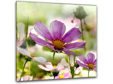 Zdjęcie: Obraz Glasspik 30x30 cm Gl006 Astry2 STYLER