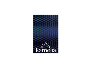 Zdjęcie: Gąbka kąpielowa dla mężczyzn Kamelia for men GROSIK