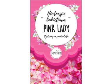 Zdjęcie: Hortensja bukietowa Pink Lady GATTENLAND