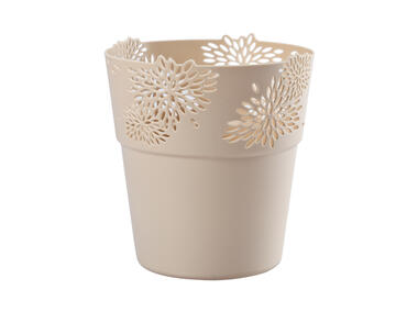 Zdjęcie: Osłonka Aster 13 cm rózowa jasna VERDENIA