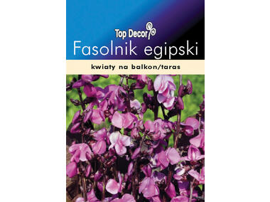 Zdjęcie: Fasolnik egipski, Wspięga TOP DECOR