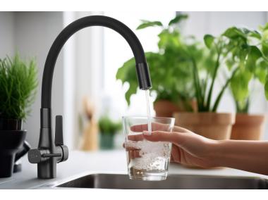 Zdjęcie: Bateria zlewozmywakowa z filtrem Glamour Trend, chrom/czarna INVENA