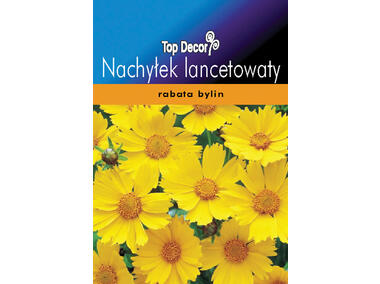 Zdjęcie: Nachyłek lancetowaty TOP DECOR