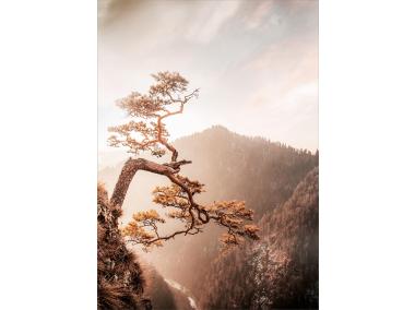 Zdjęcie: Obraz Glasspik 50x70 cm Brown tree STYLER