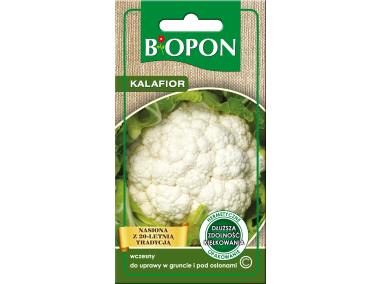 Zdjęcie: Kalafior śnieżnobiały 1 g BIOPON