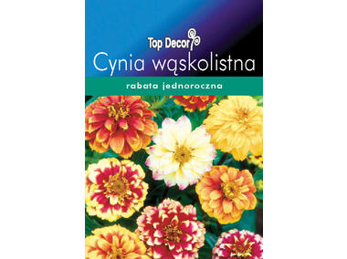 Zdjęcie: Cynia wąskolistna TOP DECOR