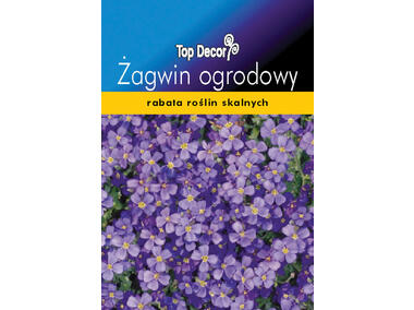 Zdjęcie: Żagwin ogrodowy TOP DECOR