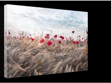Zdjęcie: Obraz Canvas Boho 75x100 cm St573 Boho Poppi STYLER