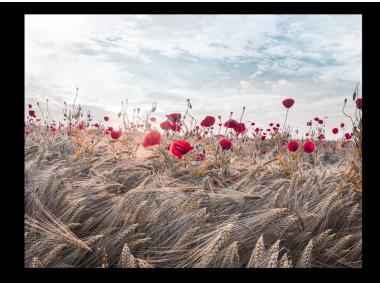 Zdjęcie: Obraz Canvas Boho 75x100 cm St573 Boho Poppi STYLER