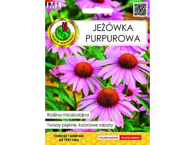 Zdjęcie: Jeżówka purpurowa 1 g PNOS