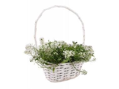 Zdjęcie: Koszyk wiklinowy biały z folią 29x20x11 cm/42h cm TIN TOURS