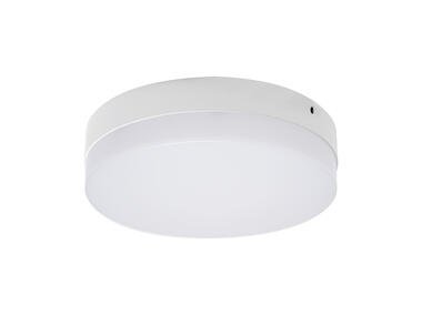 Zdjęcie: Oprawa sufitowa SMD LED Robin LED C 24 W NW kolor biały 24 W STRUHM