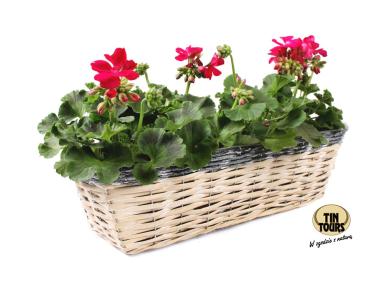 Zdjęcie: Balkonówka doniczka wiklinowa z folią na kwiaty 50x19x14 cm naturalny-czarny TIN TOURS