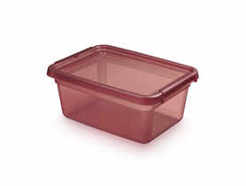 Pojemnik z pokrywką i klipsami 28x38x16 cm 12,5 L Rhubarg (2522) Basestore ORPLAST