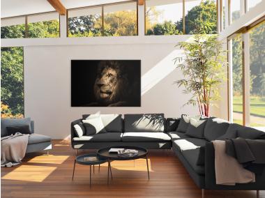 Zdjęcie: Obraz Glasspik Animals3 70x100 cm Sg Gl247 Lion STYLER