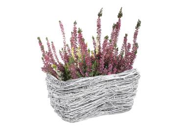 Zdjęcie: Balkonówka donica z brzozy 30x18x15 cm wrzosówka biała TIN TOURS