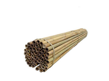 Zdjęcie: Tyczki bambusowe 210 cm TIN TOURS