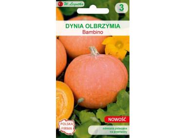 Zdjęcie: Dynia olbrzymia Bambino pomarańczowe W. LEGUTKO