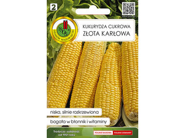 Zdjęcie: Kukurydza cukrowa Złota Karłowa 10 g PNOS
