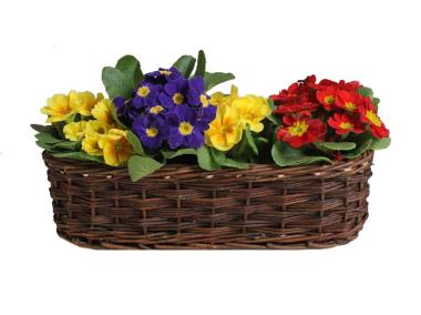 Zdjęcie: Balkonówka doniczka wiklinowa skrzynka balkonowa 68x25x17 cm TIN TOURS