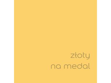 Zdjęcie: Farba do wnętrz EasyCare 5 L złoty na medal DULUX