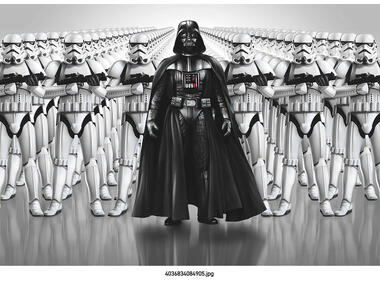 Zdjęcie: Fototapeta Star Wars Imperial Force VENA