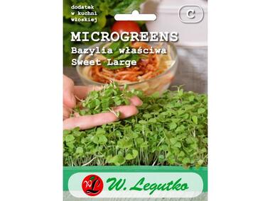 Zdjęcie: Bazylia właściwa Sweet Large zielona Microgreens W.LEGUTKO