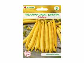 Fasola zwykła Złota Saxa żółta 35 g LEGUTKO