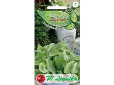Zdjęcie: Cykoria Lliściowa Baby Leaf 1.5 g W.LEGUTKO