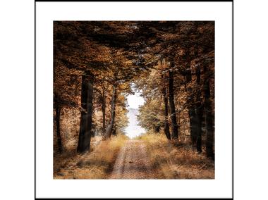 Zdjęcie: Obraz Artbox 50x50 cm Brown Forest STYLER