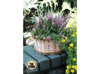 Zdjęcie: Skrzynka z brzozy z folią 25x25x13 cm TIN TOURS