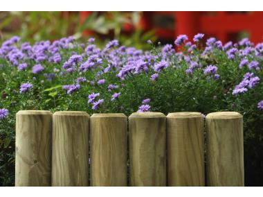 Zdjęcie: Palisada OF fi 6x30 cm SOBEX