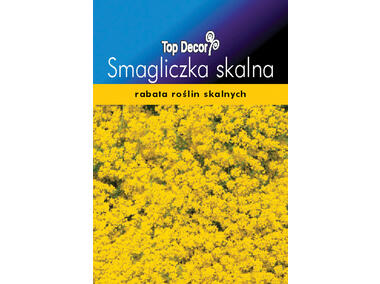 Zdjęcie: Smagliczka skalna  TOP DECOR
