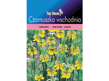 Zdjęcie: Czarnuszka wschodnia TOP DECOR