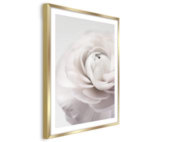 Zdjęcie: Plakat Framepic 50x70 cm Fp012 Petals STYLER