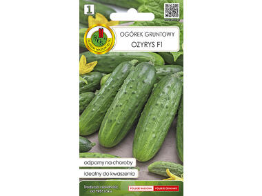 Zdjęcie: Ogórek gruntowy Ozyrys F1 2 g PNOS