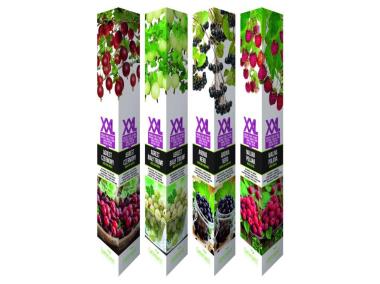 Zdjęcie: Aronia GARTENLAND