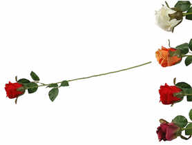 Róża pojedyncza CV15151-MIX TOP GIFTS